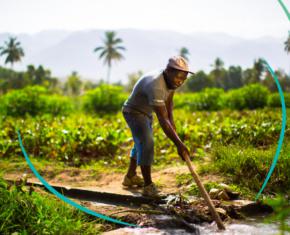 Agricultores haitianos lideran un cambio revolucionario inspirado en los ideales bahá'ís