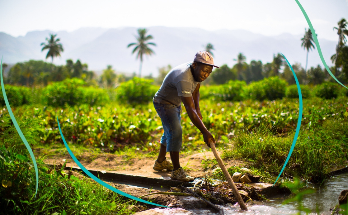 Agricultores haitianos lideran un cambio revolucionario inspirado en los ideales bahá’ís