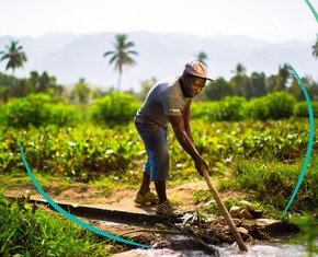 Agricultores haitianos lideran un cambio revolucionario inspirado en los ideales bahá’ís