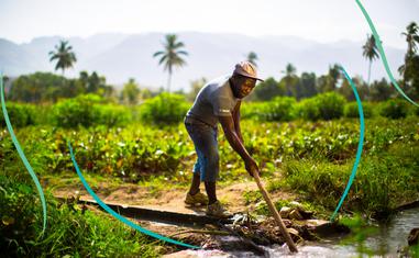 How Haitian Farmers Lead Revolutionary Change Inspired by Baha’i Ideals