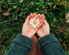 El triunfo de Bahá’u’lláh en el duodécimo día de Ridván