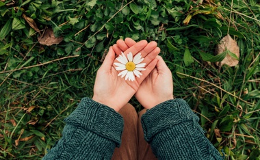 El triunfo de Bahá’u’lláh en el duodécimo día de Ridván