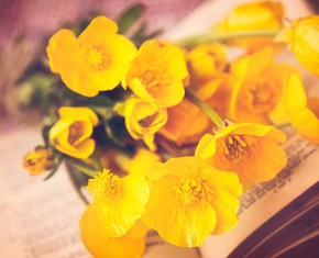 5 poderosas oraciones por el crecimiento y desarrollo espiritual