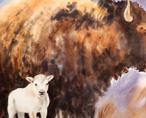 Mitákuye Oyás’iŋ (“All Are Related”): White Buffalo Calf Woman