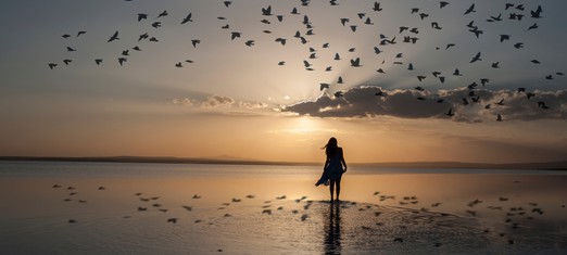 Respecting the Dignity of the Body After Death