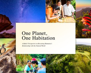 BIC New York: Recasting Humanity’s Relationship With the Natural World