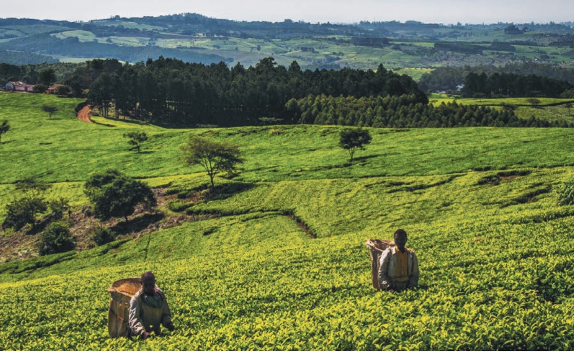 Redefining Progress and Rethinking Economic Arrangements