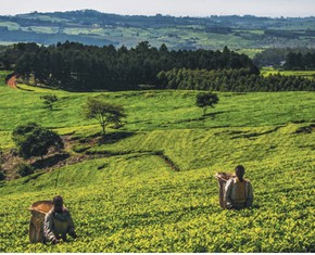 Redefining Progress and Rethinking Economic Arrangements