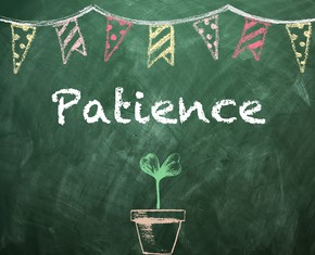 The Virtues Basket: How to Be More Patient