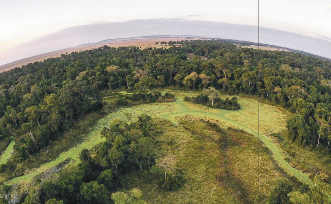 Empowering Protagonists of Transformational Change