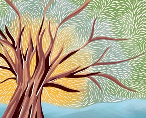 BIC Addis Ababa: Addressing the Disproportionate Impact of Climate Crisis on Women