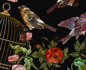 A New Novel for Those Who Suffer: Little Birds in Cages