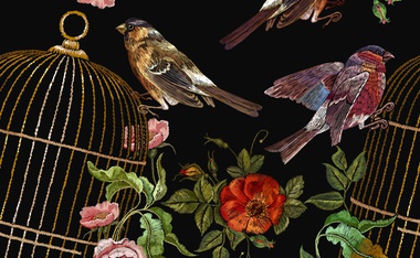 A New Novel for Those Who Suffer: Little Birds in Cages