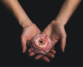 Sacrifice: The Core Principle of Nature and Spirituality