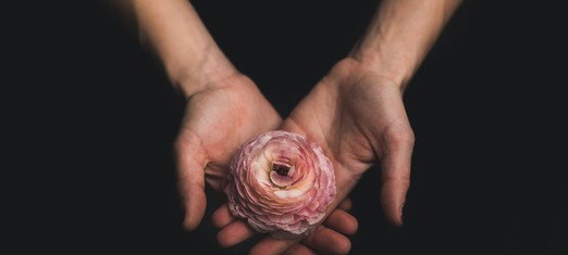 El sacrificio: el principio básico de la naturaleza y la espiritualidad