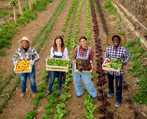 Transforming Colonial Legacies and Building a New Economy