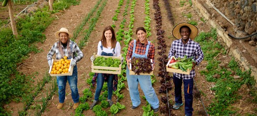 Transforming Colonial Legacies and Building a New Economy