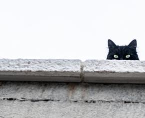 How Does Superstition Affect Us?