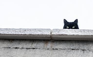 How Does Superstition Affect Us?