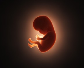Eggs, Zygotes, and Embryos: When Does Life, and the Soul, Begin?