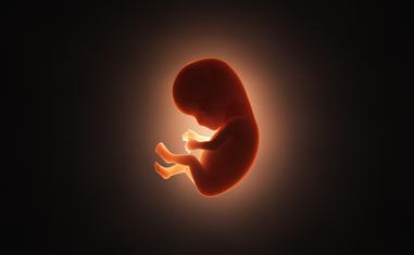 Óvulos, cigotos y embriones: ¿cuándo comienza la vida y el alma?