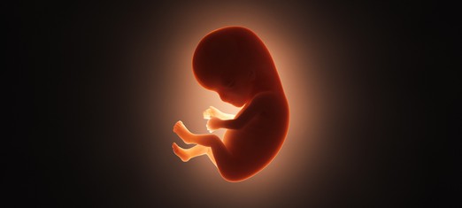 Eggs, Zygotes, and Embryos: When Does Life, and the Soul, Begin?
