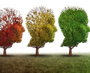 Maturing into Spiritual Recognition and Obedience