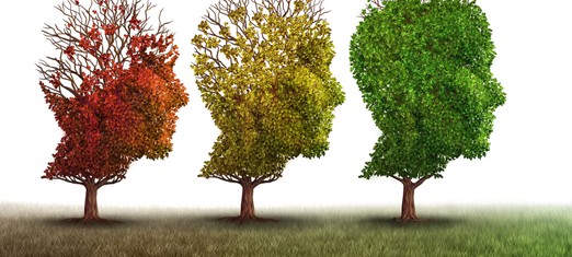 Maturing into Spiritual Recognition and Obedience