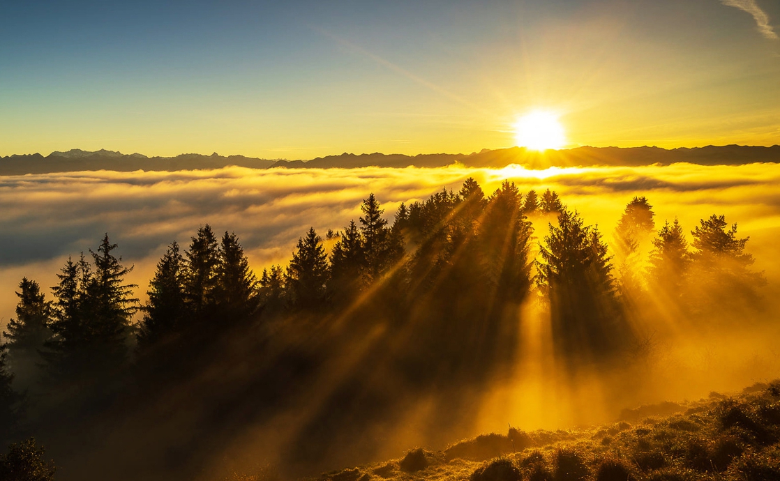 El sol de la verdad disipa todas las sombras