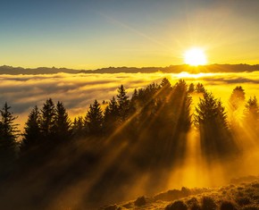 The Sun of Truth Dispels All Shadows