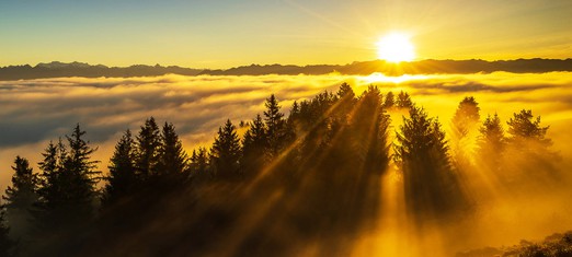 El sol de la verdad disipa todas las sombras