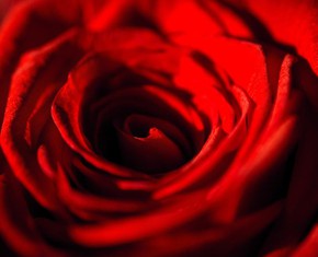 The Baha’i Definition of Paradise: The First Day of Ridvan