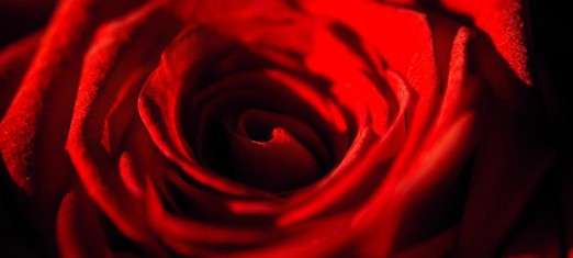 The Baha’i Definition of Paradise: The First Day of Ridvan