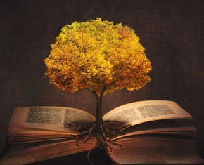 What Are the Baha’i Sacred Scriptures?