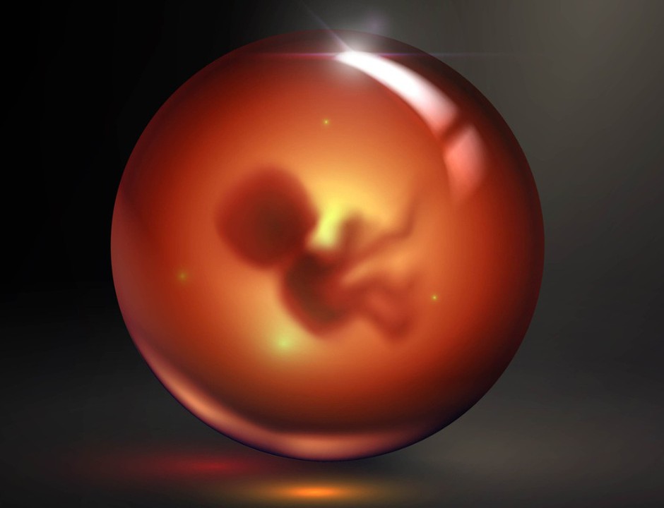 Could Humans Artificially Create a Living Being?