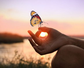 From the Babi Revelation to the Baha’i Faith