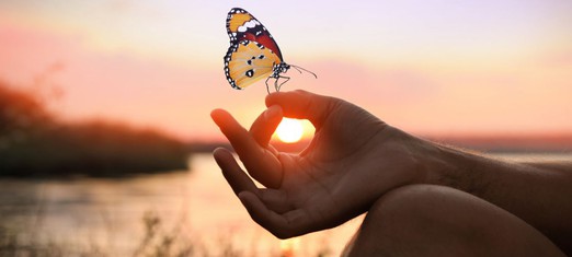 From the Babi Revelation to the Baha’i Faith