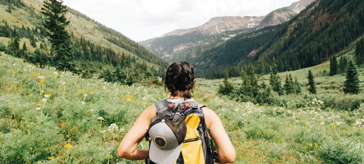 Travel and the Truth: Ideas from Fellow Travelers