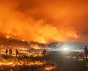 Is Paradise Lost? Greed, the Human Spirit, and the Hawaii Fires
