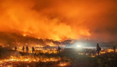 Is Paradise Lost? Greed, the Human Spirit, and the Hawaii Fires