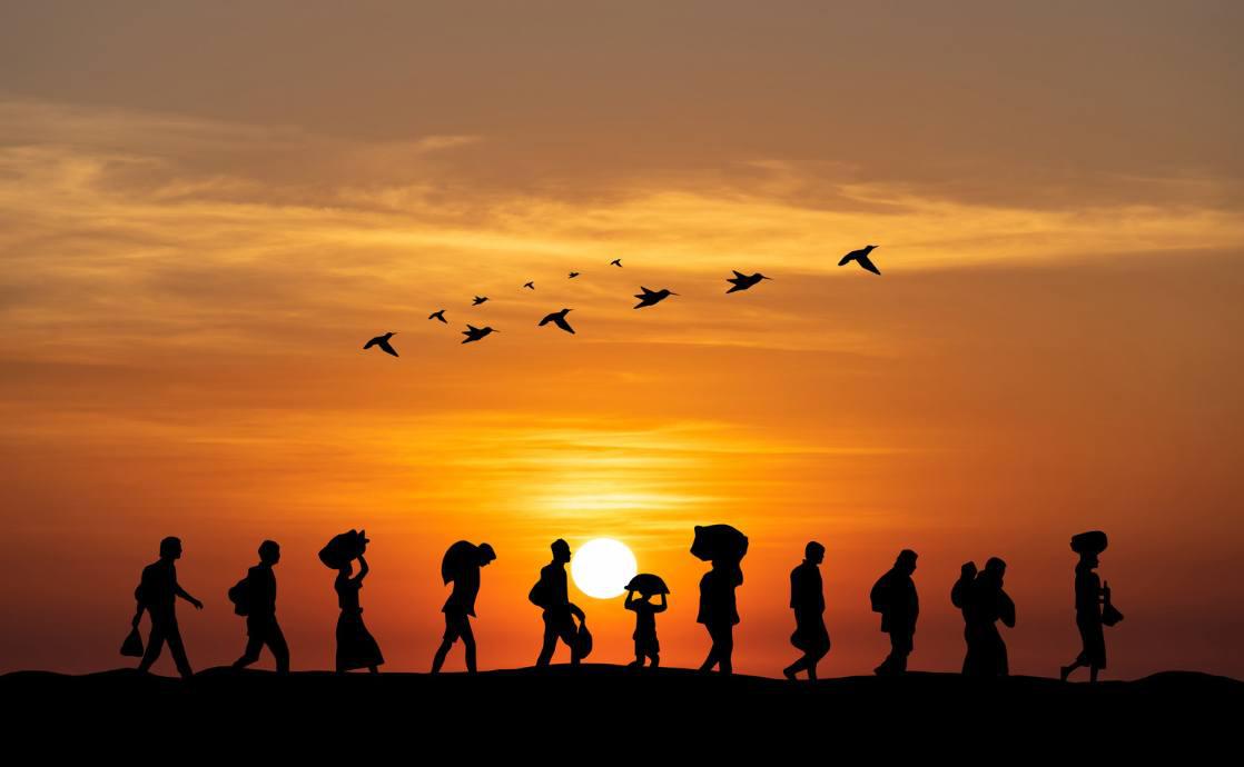 Why We Walk: Movement, Migration, and Meaning 