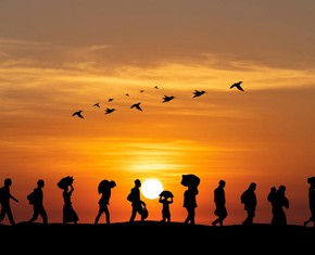 Why We Walk: Movement, Migration, and Meaning