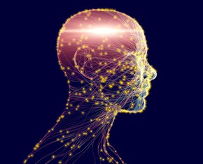 Reflecting on Health: Life’s Greatest Gift