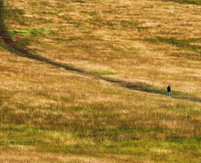 Progress on the Spiritual Path: Through Prayer or Action?