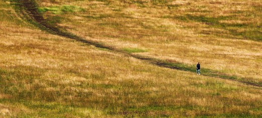 Progress on the Spiritual Path: Through Prayer or Action?