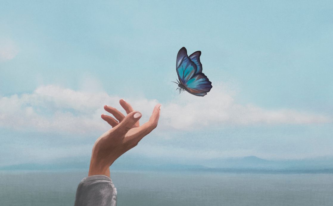 Where Did the Idea of Reincarnation Begin?