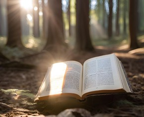Profecías específicas de Bahá’u’lláh que pronto se hicieron realidad