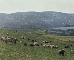 Adasíyyih: A Baha’i Village Becomes a Model Farming Community