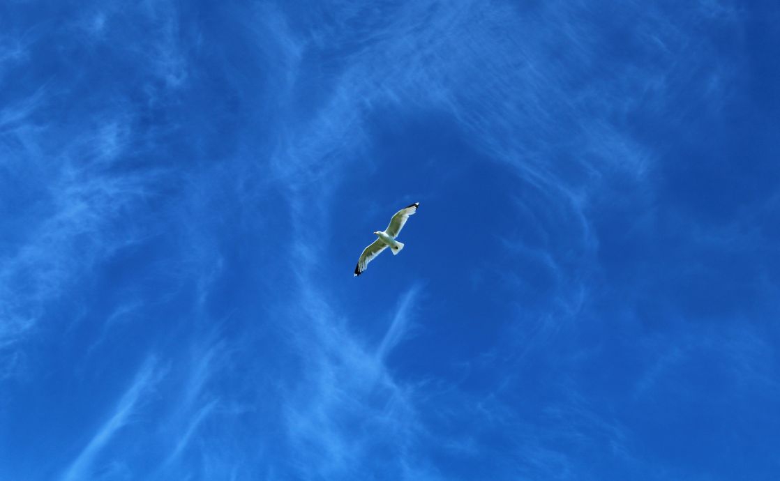 Baha’u’llah: the “Spirit of Truth” Promised by Jesus Christ