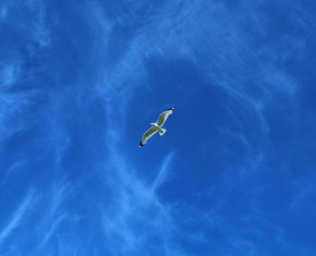 Baha’u’llah: the “Spirit of Truth” Promised by Jesus Christ